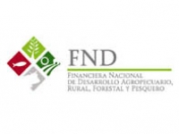 FND